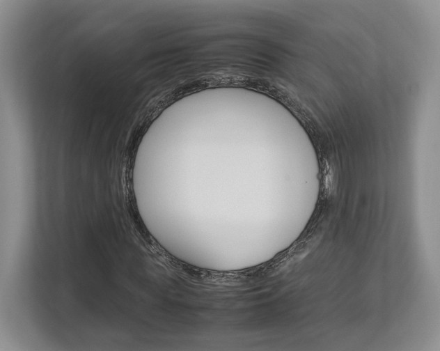 X0000112950819200908241025