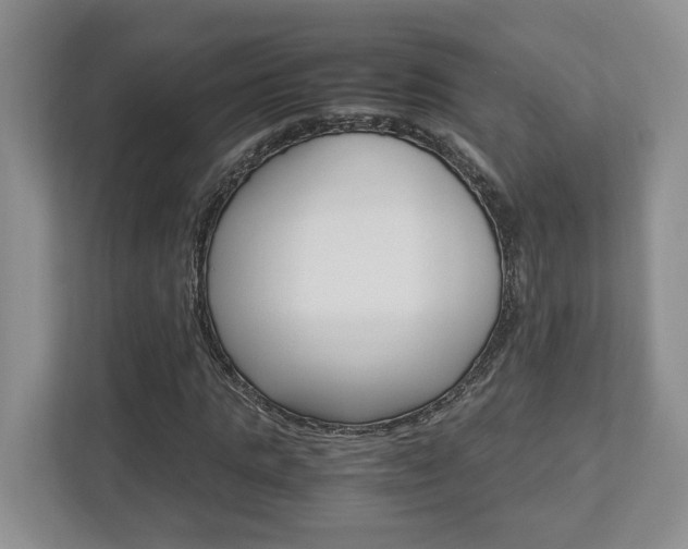 X0000112950821200908241025