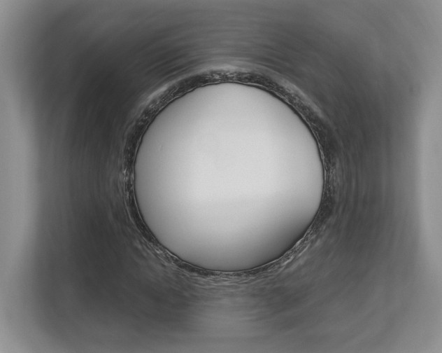 X0000112950822200908241025