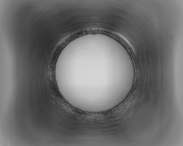 X0000112950823200908241025