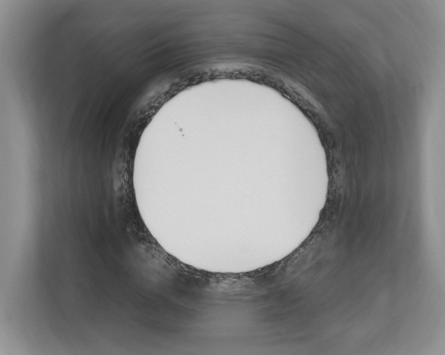 X0000112950824200908241025