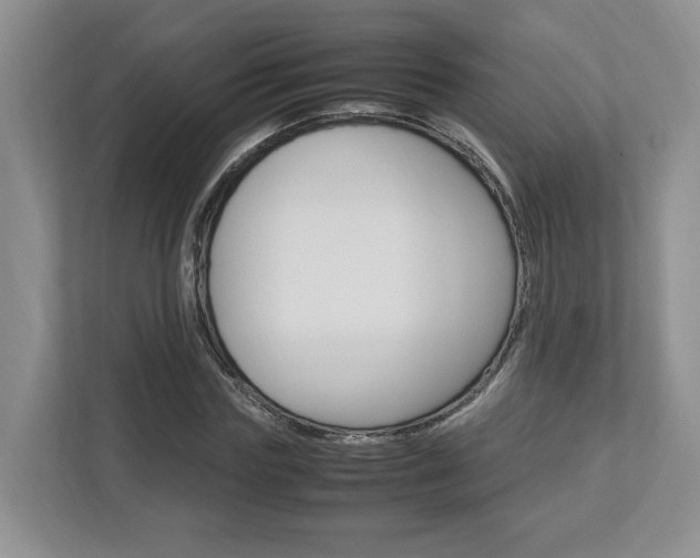 X0000112950827200908241025