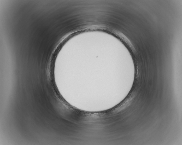 X0000112950828200908241025
