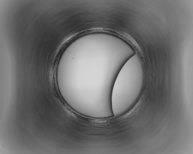 X0000112950831200908241025