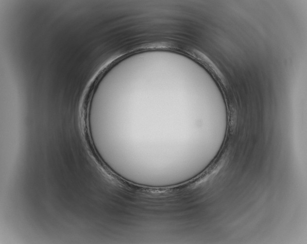 X0000112950835200908241025