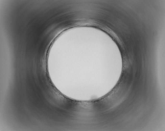 X0000112950836200908241025