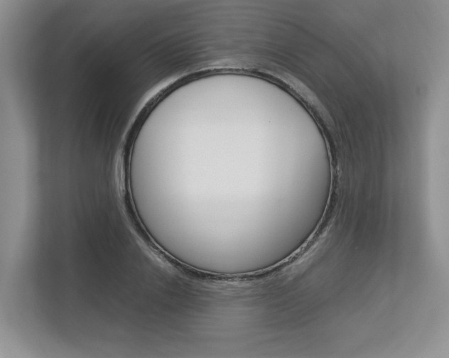 X0000112950838200908241025