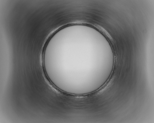 X0000112950839200908241025