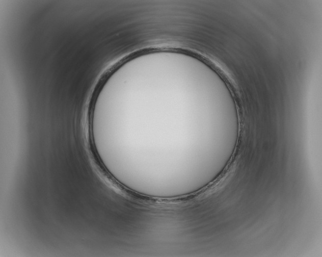 X0000112950840200908241025