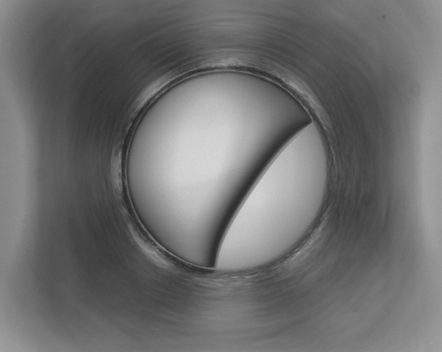 X0000112950842200908241025