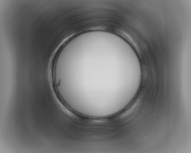 X0000112950843200908241025