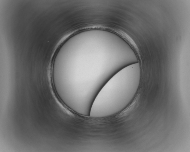 X0000112950847200908241025