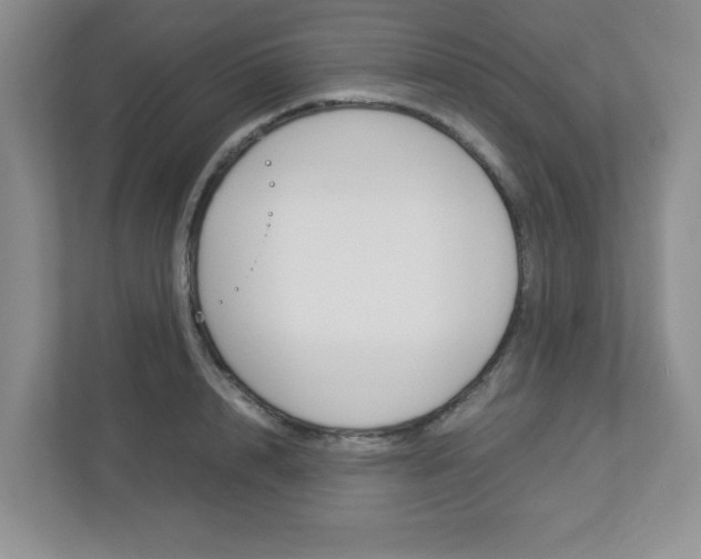 X0000112950848200908241025