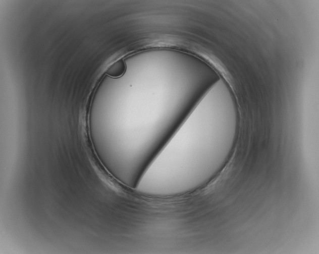 X0000112950850200908241025