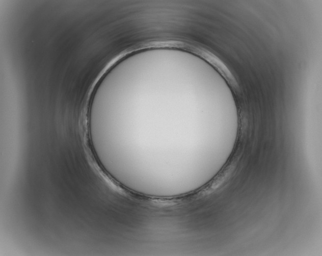 X0000112950852200908241025