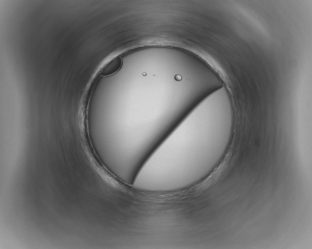 X0000112950854200908241026