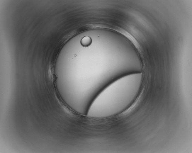 X0000112950857200908241026