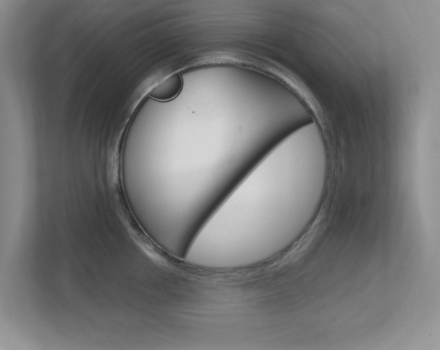 X0000112950858200908241026