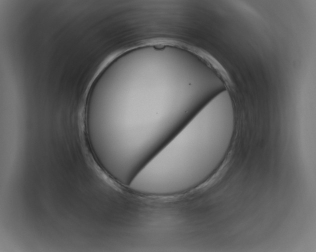 X0000112950860200908241026