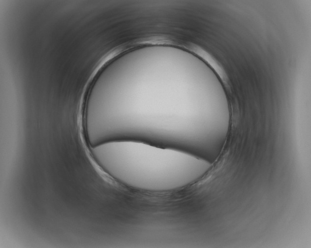 X0000112950861200908241026