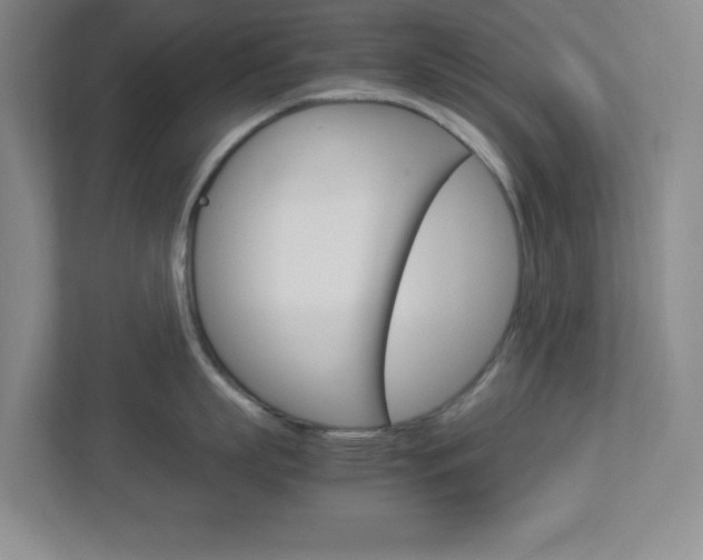 X0000112950863200908241026