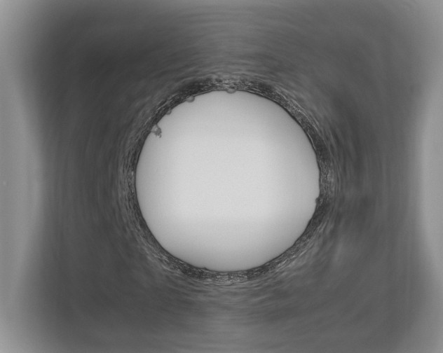 X0000112950865200908241025