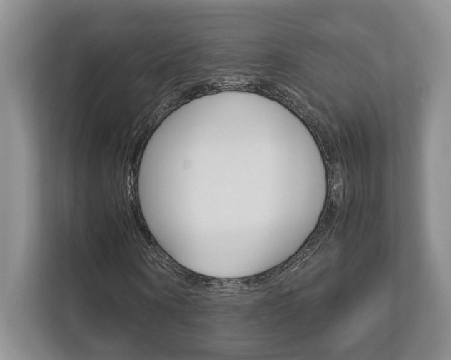 X0000112950866200908241025