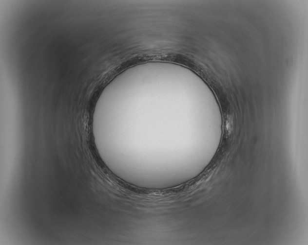 X0000112950867200908241025