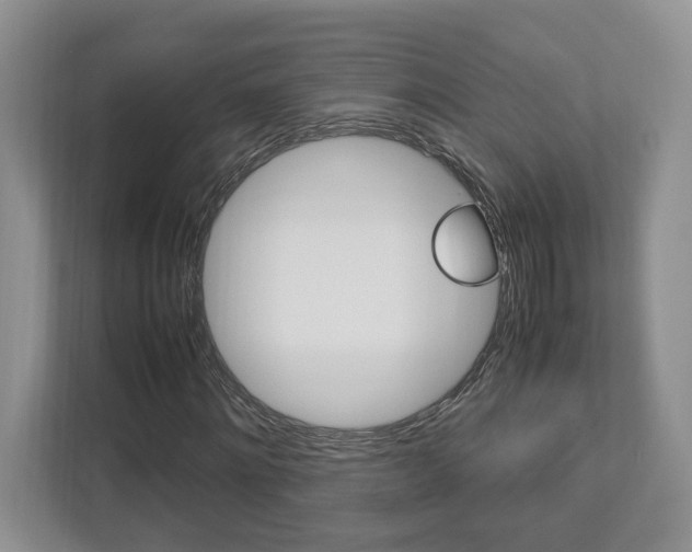 X0000112950868200908241025