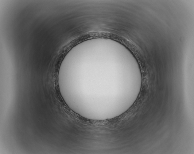 X0000112950870200908241025