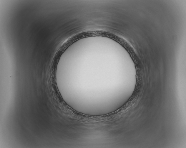 X0000112950871200908241025