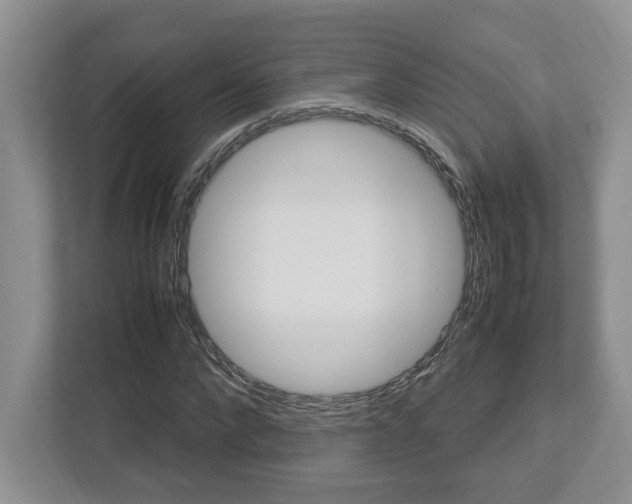 X0000112950872200908241025