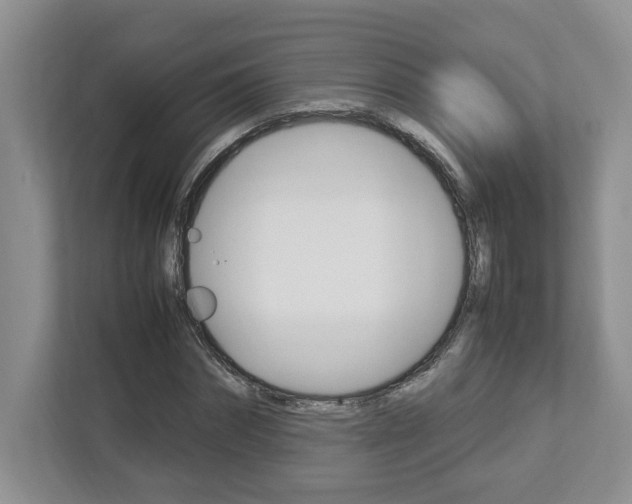 X0000112950874200908241025