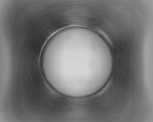 X0000112950876200908241025