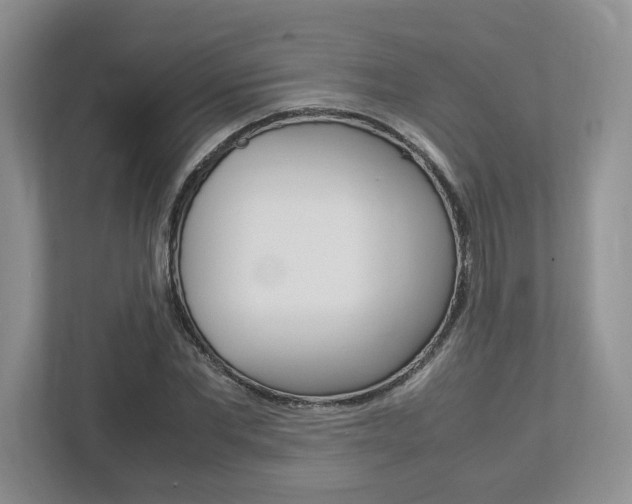 X0000112950877200908241025