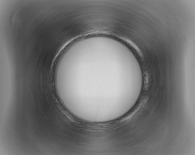 X0000112950878200908241025