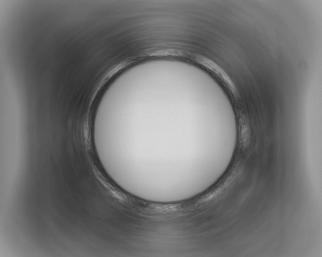 X0000112950882200908241025