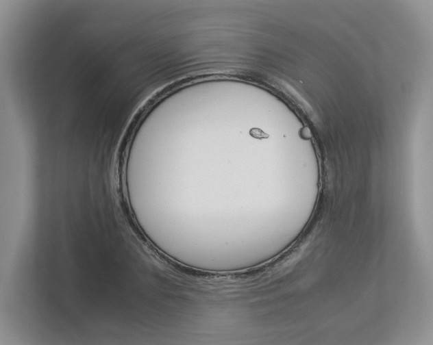 X0000112950883200908241025