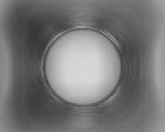 X0000112950885200908241025