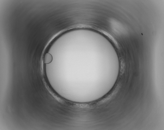 X0000112950886200908241025