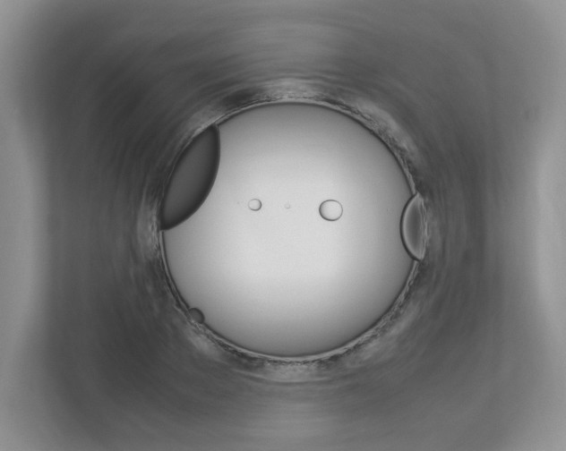 X0000112950889200908241025