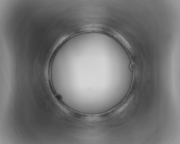 X0000112950893200908241025