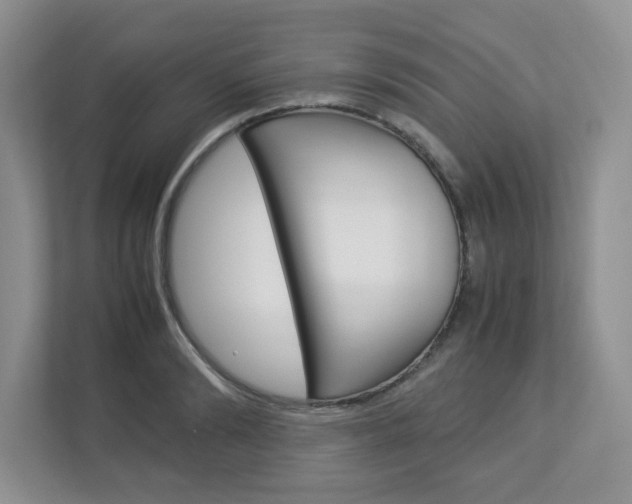 X0000112950894200908241025