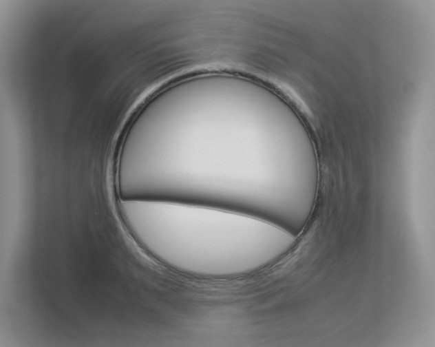 X0000112950895200908241025
