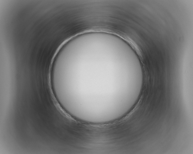 X0000112950896200908241025