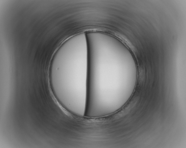 X0000112950898200908241025