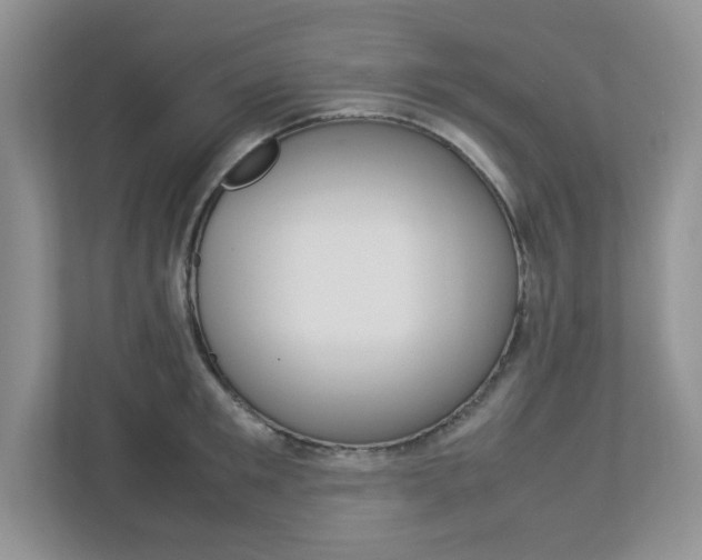 X0000112950901200908241025