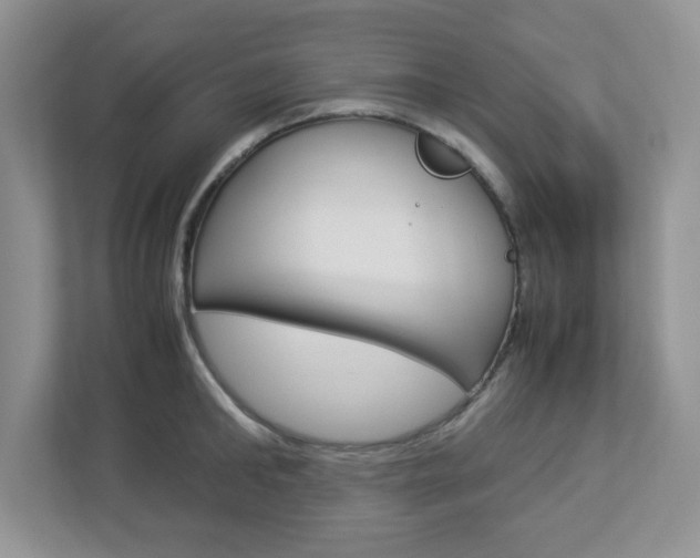 X0000112950902200908241025