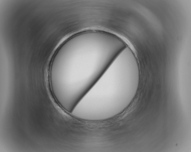 X0000112950903200908241025