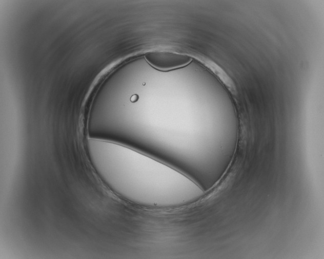 X0000112950904200908241025